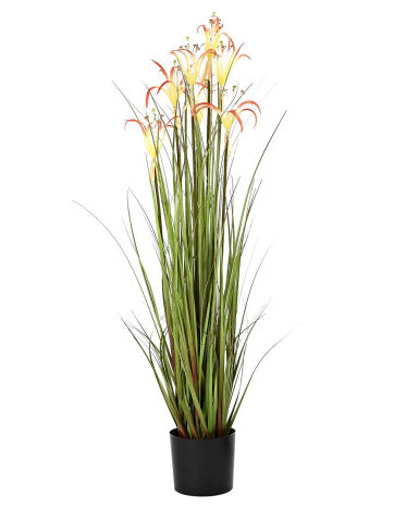 PLANTA PVC METAL
