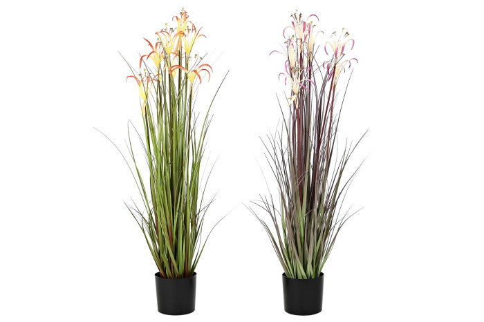 PLANTA PVC METAL