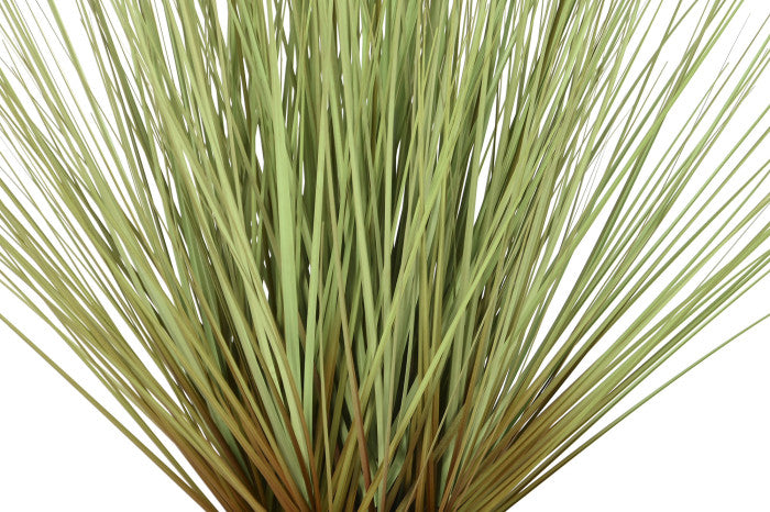 PLANTA PÉ