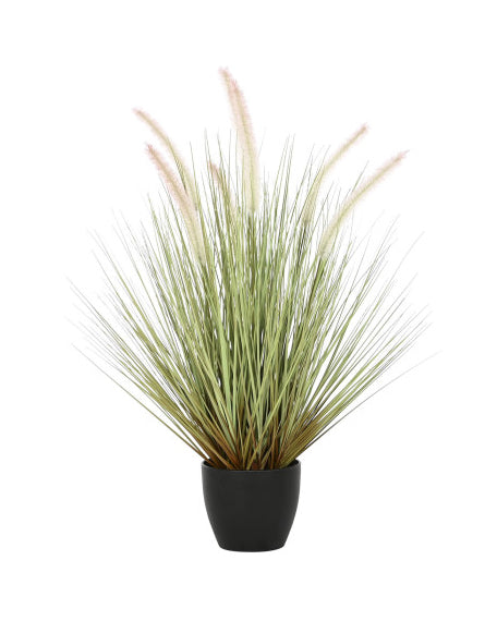 PLANTA PÉ