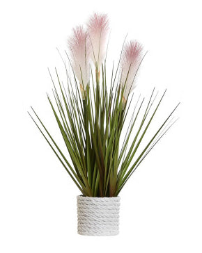 PLANTA PÉ