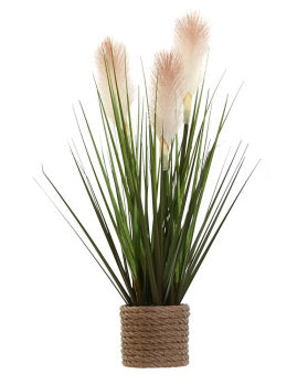 PLANTA PÉ